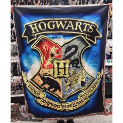 Harry Potter Hogwarts filt