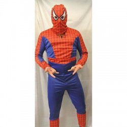 Spider Hero Maskeraddräkt