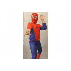 Barn Spider hero